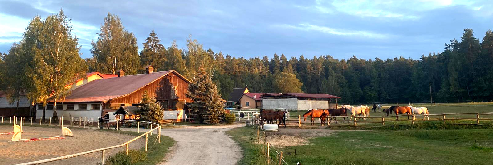 Siedlisko Sielanka przy Stajni Novum